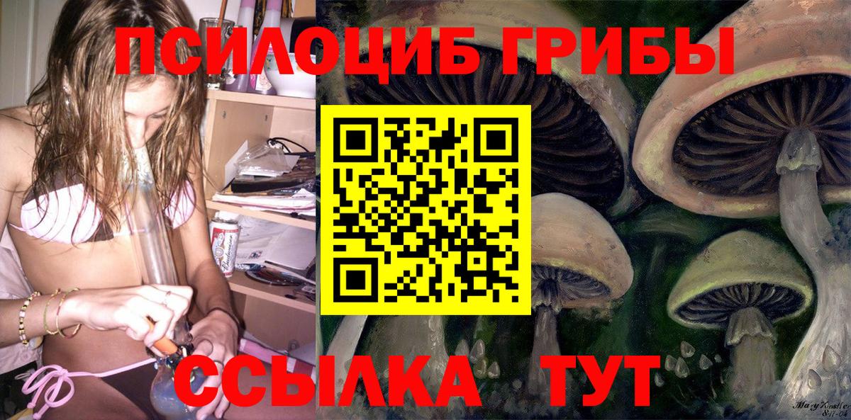 Галлюциногенные грибы MAGIC MUSHROOMS Вичуга