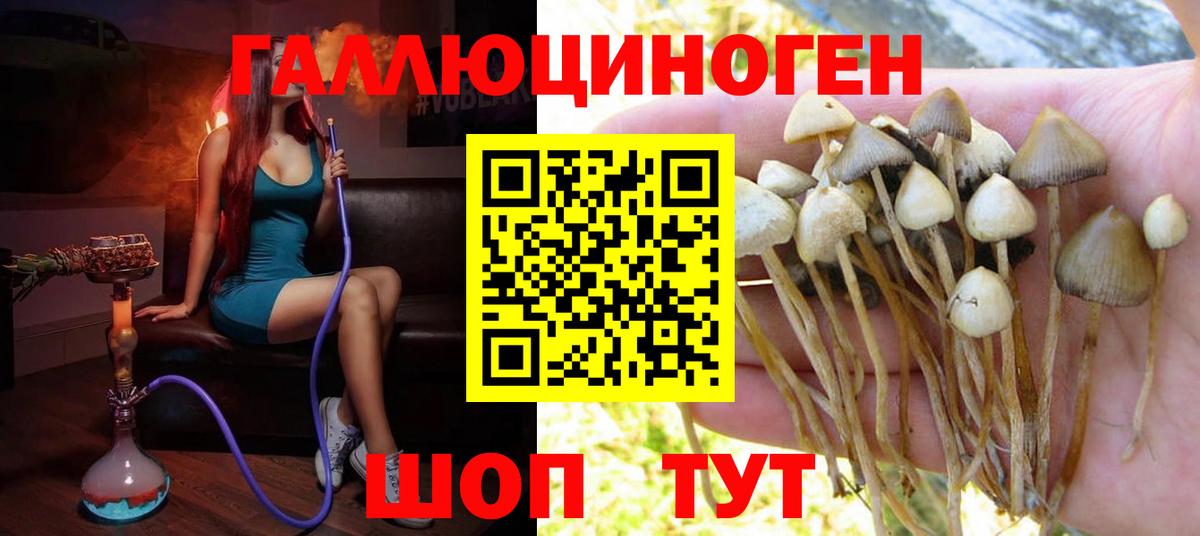 Вичуга  закладка  Вход с VPN  Галлюциногенные грибы ЛСД 