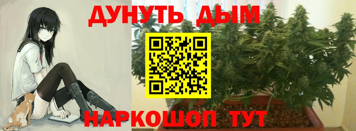 Каннабис план  Марихуана Bruce Banner  Вичуга  Вход с VPN  Марихуана OG Kush 